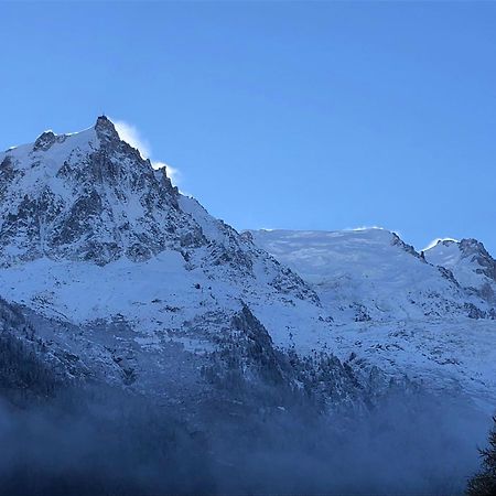 דירות Les Alpins - Centre De Chamonix - Renove Avec Jardin Et Vue Imprenable Sur Le Montblanc מראה חיצוני תמונה